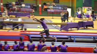 HGI 2023: Elite Tumblers andTrampoliners Performance (CAVU-WHGF)