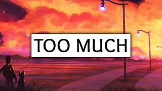 Zayn ‒ Too Much Lyrics Ft Timbaland