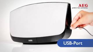 AEG BSS 4804 Bluetooth Sound System