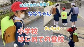 1年生ななちゃん初めての登校♫車に気をつけて学校まで歩けました♫ランドセルは重かった♫