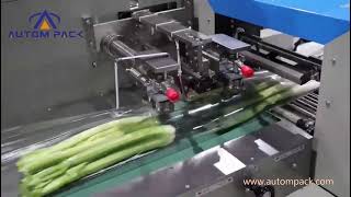 ATM-600X High Accuracy Automatic Vegetable Flow Packing Machine