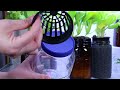 hydroponics the kratky method