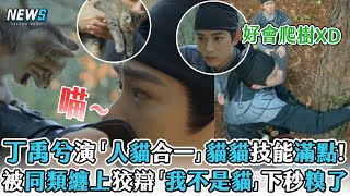 【丁禹兮】演「人貓合一」貓貓技能滿點! 被同類纏上還狡辯「我不是貓」下秒糗了 (大理寺少卿遊)