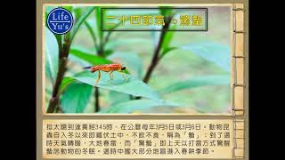 驚蟄（3） - 2020 不能錯過古風融合現代歌曲