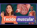 TECIDO MUSCULAR | Histologia