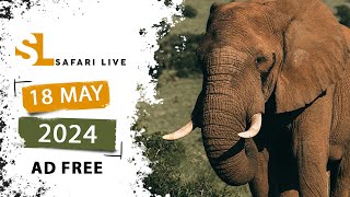 SafariLIVE Sunrise - 18 May 2024 - AD FREE