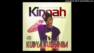 Kinnah Kudya Kushanda MixTape By Deejay TanamanSelector Taan