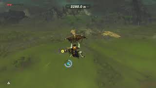 perfectly normal botw parasail mini-game