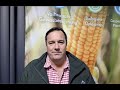 WATCH | Steenhuisen discusses foot-and-mouth disease