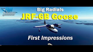 Big Radials JRF-6B Goose - First Impressions