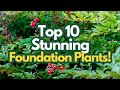 🌿 10 Stunning Foundation Plants to Transform the Front of Your Home!