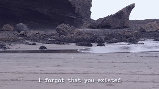 Taylor Swift - I Forgot That You Existed (Re-Imagined Version) (Lyric )