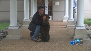Norfolk sailor reunited with military dog