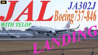 【4K】「LANDING」  JAL Boeing737-846（JA302J）  ＠ITM withTELOP