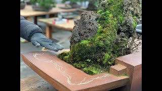 Making Muck and Adding Moss to a Wall