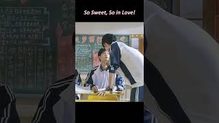 【BL】So Sweet, So in Love!#drama #bl #xubin #zhangjiongmin