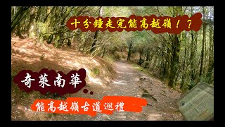 Episode 2 奇萊南華 能高越嶺古道巡禮(十分鐘走完能高越嶺西段！？)