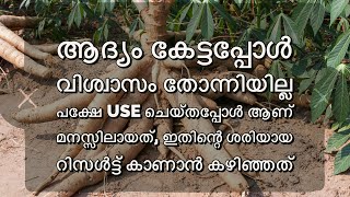 Use ചെയ്തപ്പോൾ ആണ് മനസ്സിലായത്, ഇതിന്റെ ശരിയായ റിസൾട്ട് കാണാൻ കഴിഞ്ഞത്! #agriculture #cassavaroots