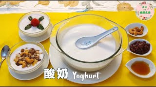 [Homemade Yogurt] just two ingredients。 No need for yogurt machine and bacteria powder,