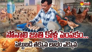 Sonali Breed Chicken Farming | Country Chicken Farming in Telugu @SakshiTVSagubadi