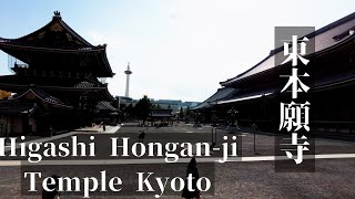 Walking In Higashi Honganji Temple: The Largest Temple In The World In Terms Of Area Near Kyoto Sta