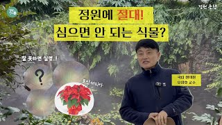 농약도, 비료도 없이 12년?! 국립생태원의 자연 그대로 식물 키우기 비법! | 정원동행