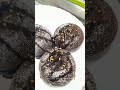 no fail domino s style choco lava cake without oven easy lava cake recipe chocolate cake recipe