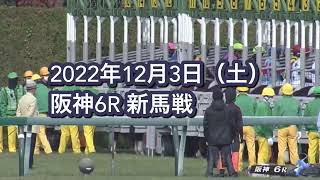 2022年12月3日（土）阪神6R 2歳新馬レース映像