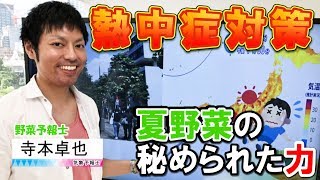 梅雨明け直後は熱中症急増⁉今が旬の夏野菜がもたらす力！(寺本卓也)