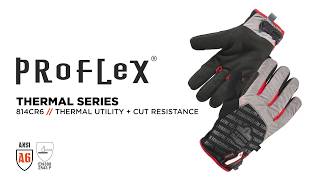 Ergodyne 814CR6 Thermal Cut-Resistant Work Gloves Designed for Cold Weather Work