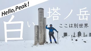 【塔ノ岳 -厳冬期-】丹沢が本気を出した冬！白い塔ノ岳へ