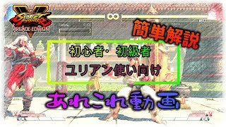 【SF5AE】初心者・初級者ユリアン使い向け あれこれ【字幕簡単解説】