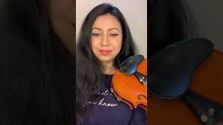 Tumse Milna | Tere Naam |  Kushmita KC | Salman Khan | Violin Cover