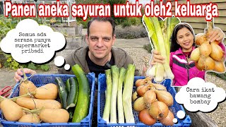 PANEN ANEKA MACAM SAYURAN UNTUK OLEH-OLEH SAUDARA || PANEN BAWANG BAKUNG PERDANA