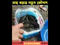 মাছ ধরার নতুন কৌশল part 4 🐬 weird fishing techniques 2022 😱 shorts fishing trending