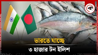 ভারতে যাচ্ছে ৩ হাজার টন ইলিশ | Hilsa Export to India | Kalbela