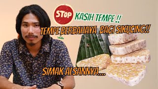 BAHAYA KUCING MAKAN TEMPE !!