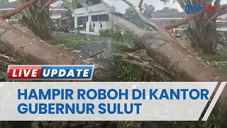Pohon Raksasa Roboh Hampir Menimpa Kantor Gubernur Sulut, Disebabkan Cuaca Ekstrem & Angin Kencang