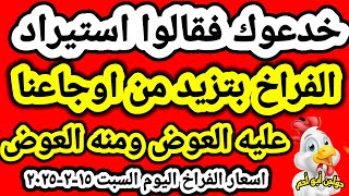 اسعار الفراخ البيضاء اليوم اسعار الدواجن اليوم السبت ١٥-٢-٢٠٢٥ جمله وقطاعي في المحلات في مصر