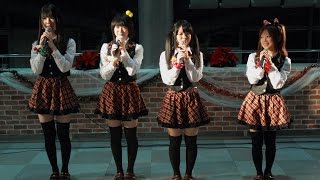 12.12.23 新潟県立植物園　ミニライブ ～ SLC57 ～