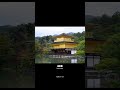 kyoto 定制旅游 氛围感 情感 旅行推荐官 japan 艾特你那个日思夜想的人来看看吧 画一个故事 情 kyoto custom tourism animation travel