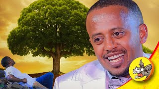 ቅዱስ ያሬድ የተማረባትን ዛፍ በአካል ላሳያቹ #spiritual  #songs  #spiritualgrowth #kidusyared #rural #areassacred