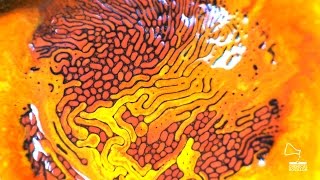 Ferrofluid   Colored II - Chemical Bouillon