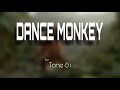 DANCE MONKEY (lyrics)- Tones & i