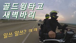 골드윙dct/새벽바리/r1250rt시승