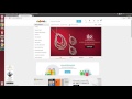 show css chrome extension