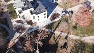 Braik's Tree Care removing large, hazardous Oak