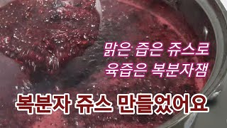 복분자 먹는 법 /복분자 주스 / 복분자 잼 만드는 방법 /쥬스 얼려서는스무디  얼음동동쥬스 스무디 복분자 요강단지 터진다 정력보강❤ 최고의 음료