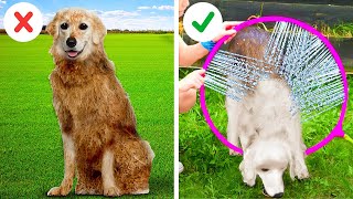 So Cute! 😍 Useful Hacks For Pet Owners! Fantastic Gadgets and Tricks