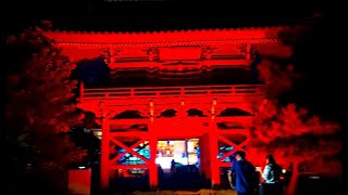 【Temples Lights display 　あんじんの灯（ともしび）・龍泰寺（りゅうたいじ）】　岐阜県関市　2024年10月5日（土）　　Gifu-Japan